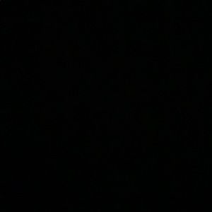 Meet your Posher, Selina